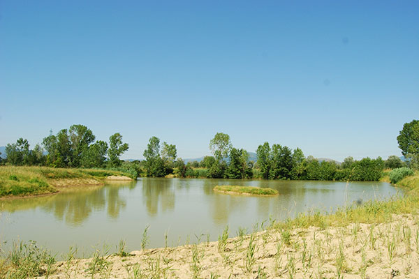 Lago di Bogaia 16 giugno 1