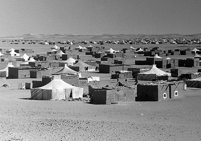 Un incontro con il ministro saharawi Ahmed Lehbib