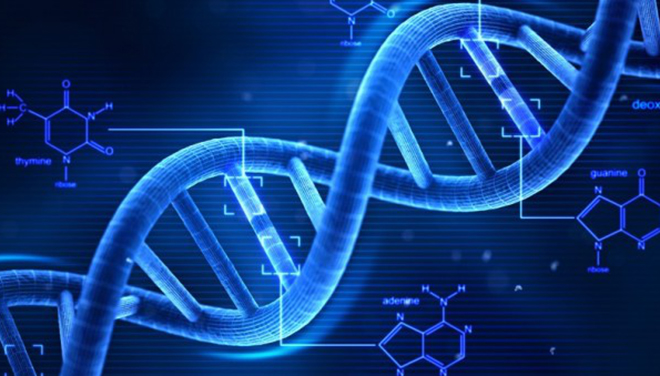 Biotecnologia, dalla Cina uomini geneticamente migliorati