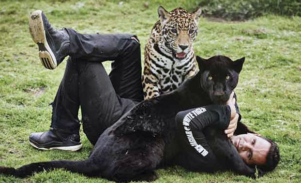 The Black Jaguar White Tiger Foundation: l’oasi dei felini