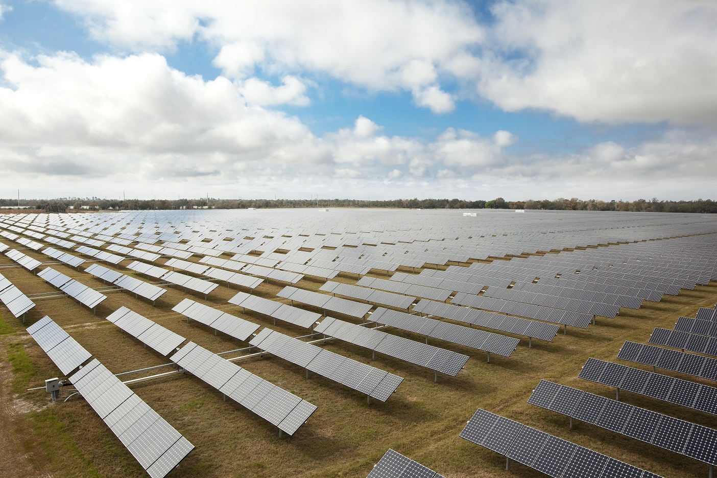 Un campo fotovoltaico