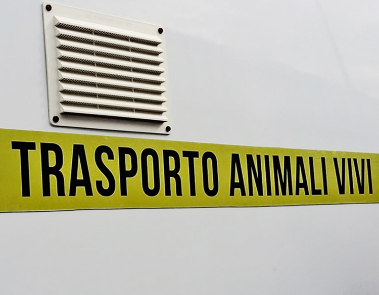 Trasporto animali vivi