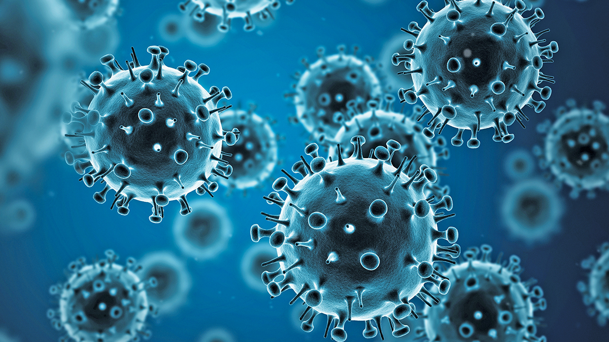 Il virus dell'influenza