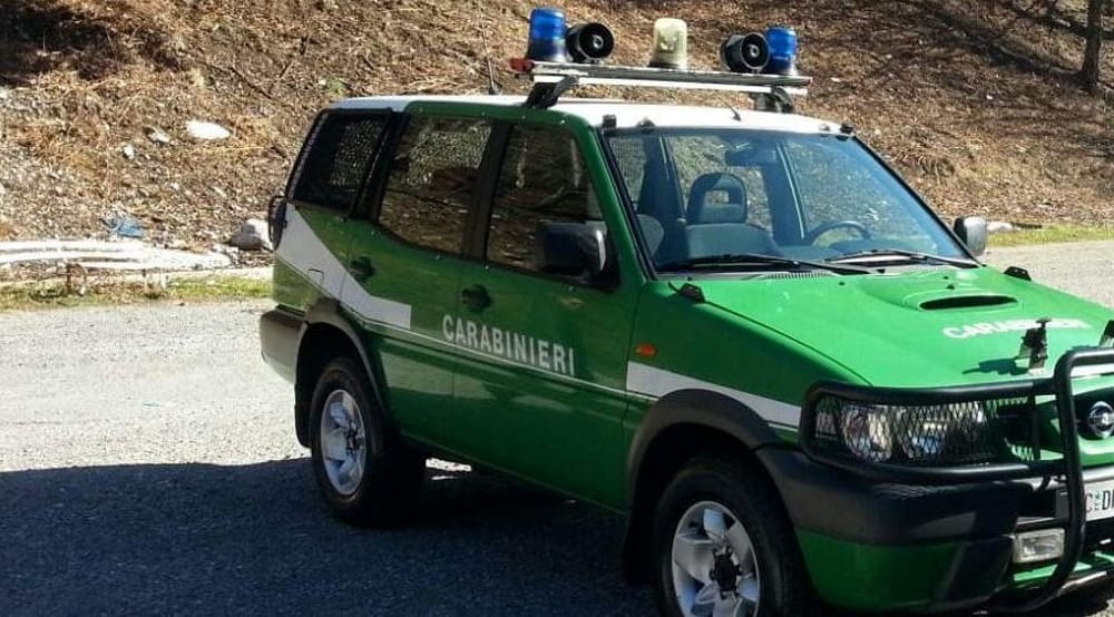 Carabinieri forestali