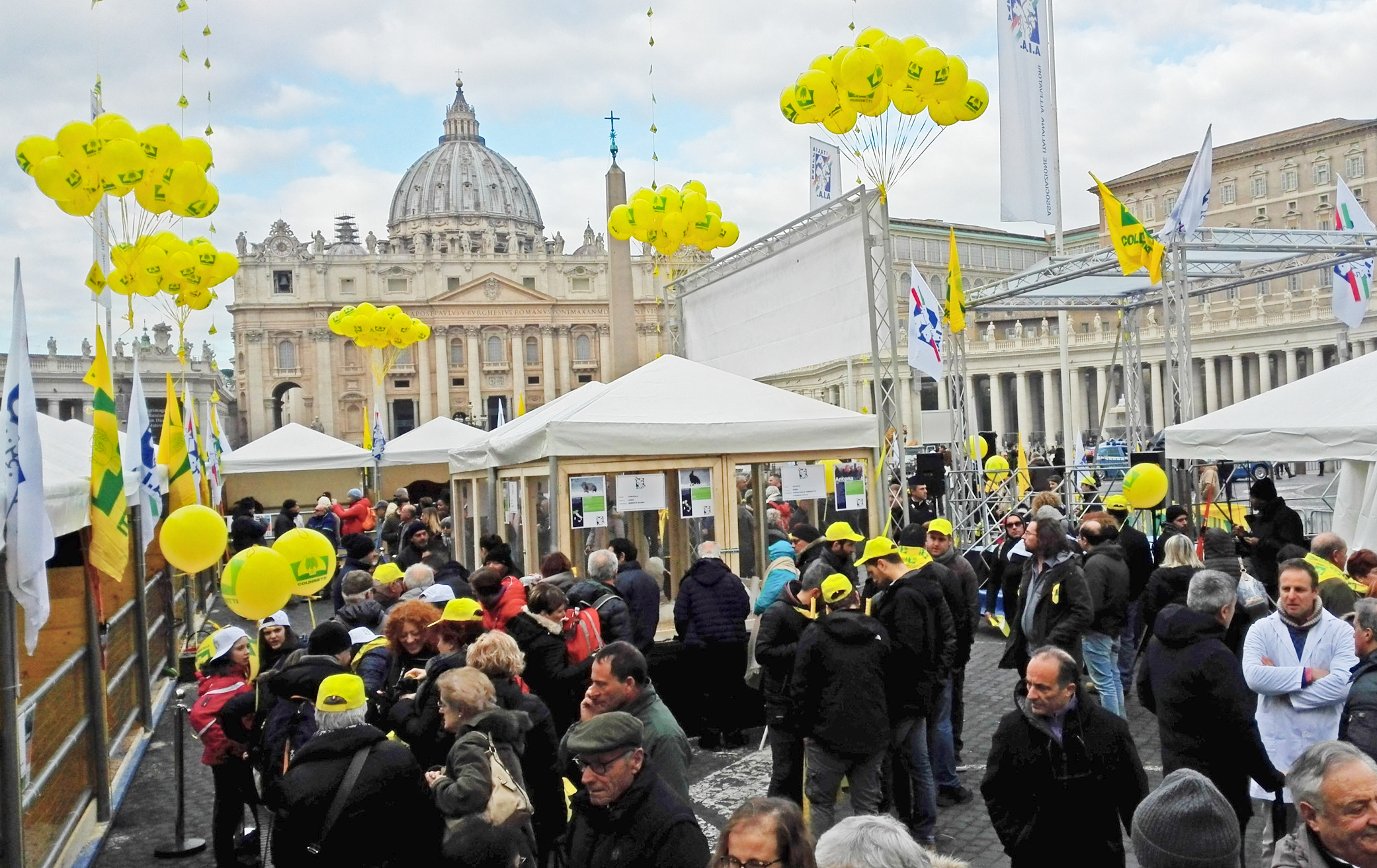 Allevatori e animali in piazza San Pietro