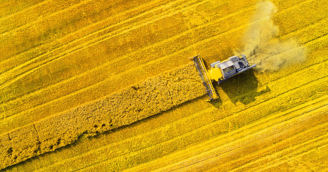Agricoltura trattore in un campo dall'alto - Slow Food