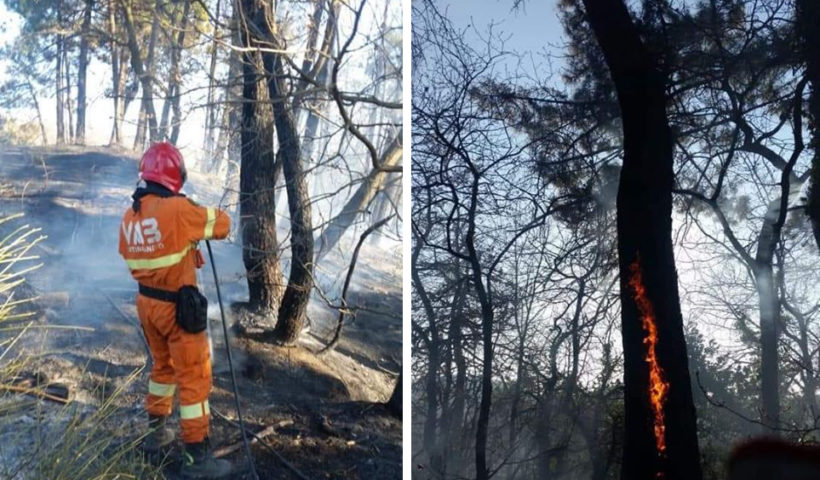 Incendio Cerreto