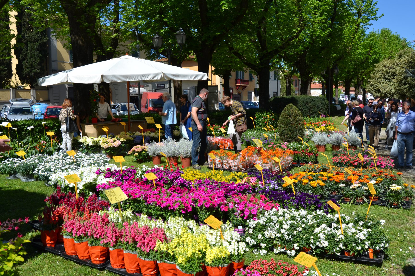 Fiorinfiera porta la primavera a Borgo San Lorenzo