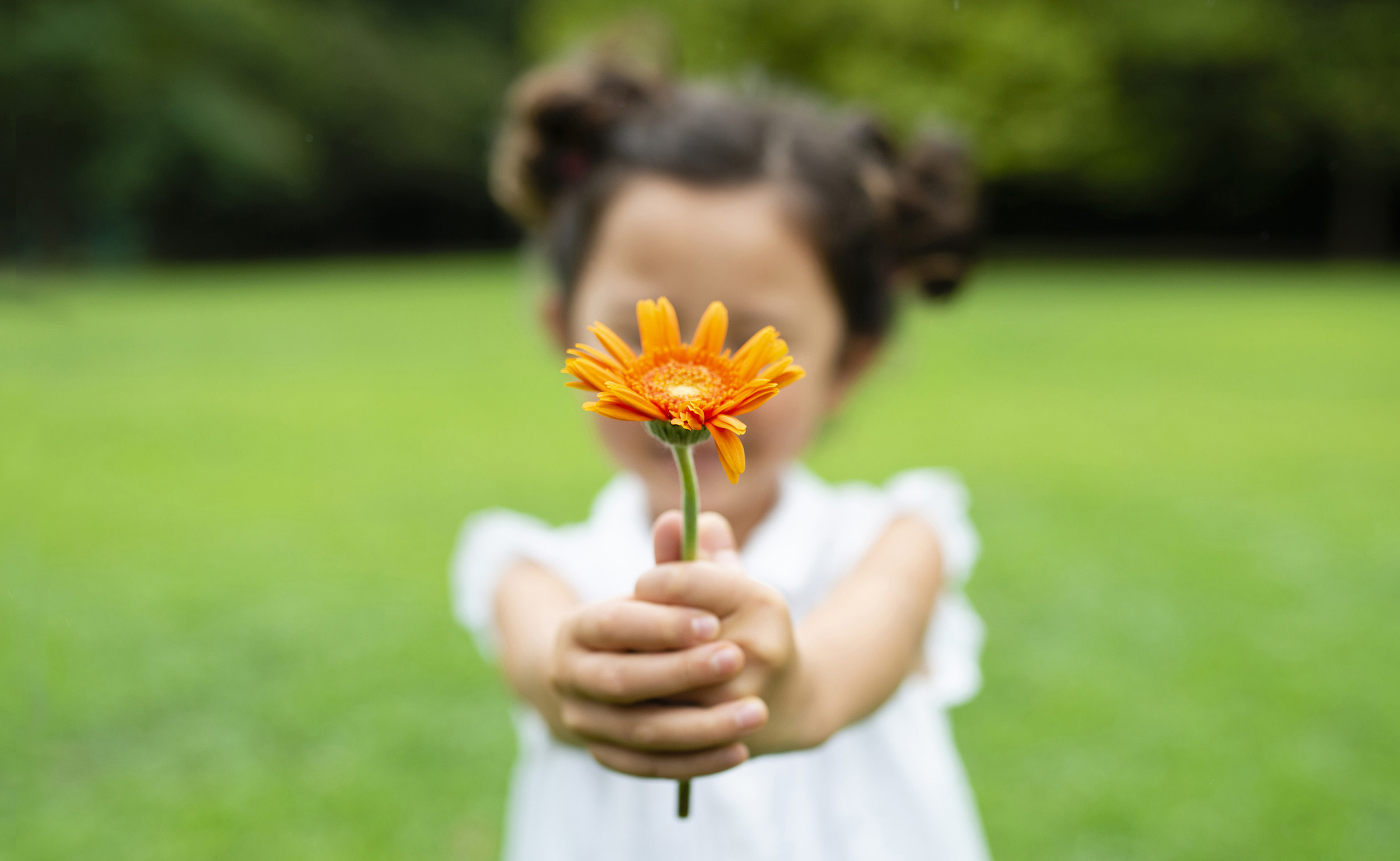 Bambina con un fiore a primavera