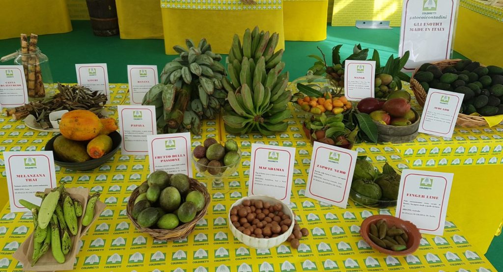Frutta esotica made in Italy dalla manifestazione al Castello sforzesco di Milano