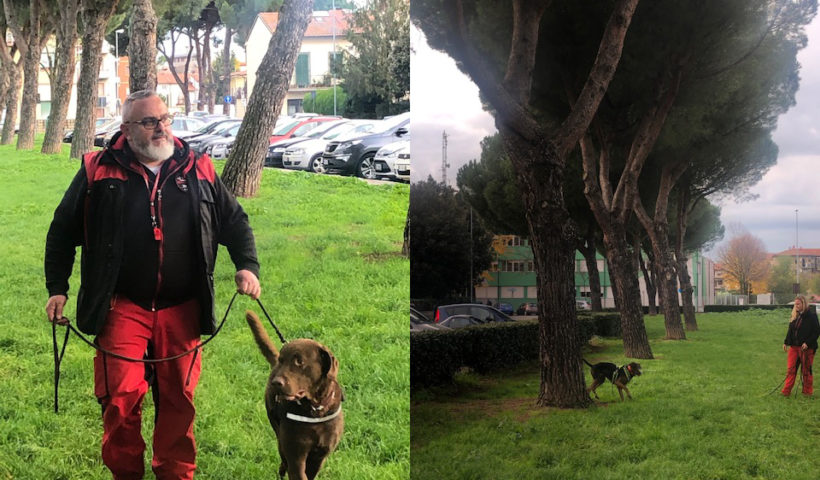 Cani tarlo asiatico