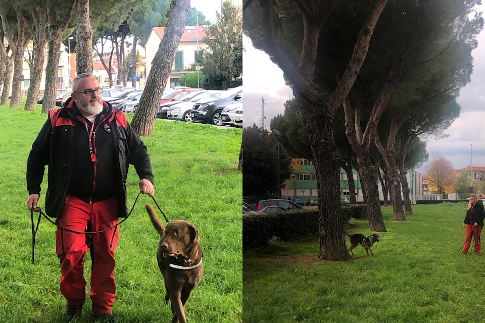 Sei cani per scovare il tarlo asiatico: operazione a Prato