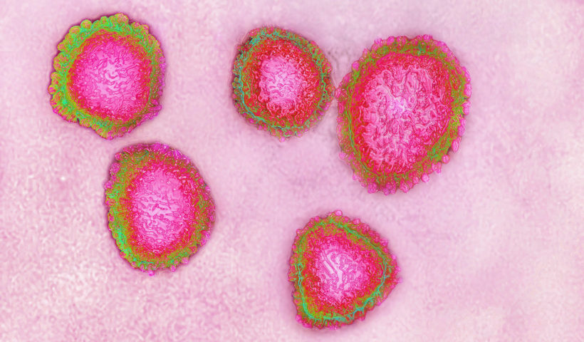 Coronavirus