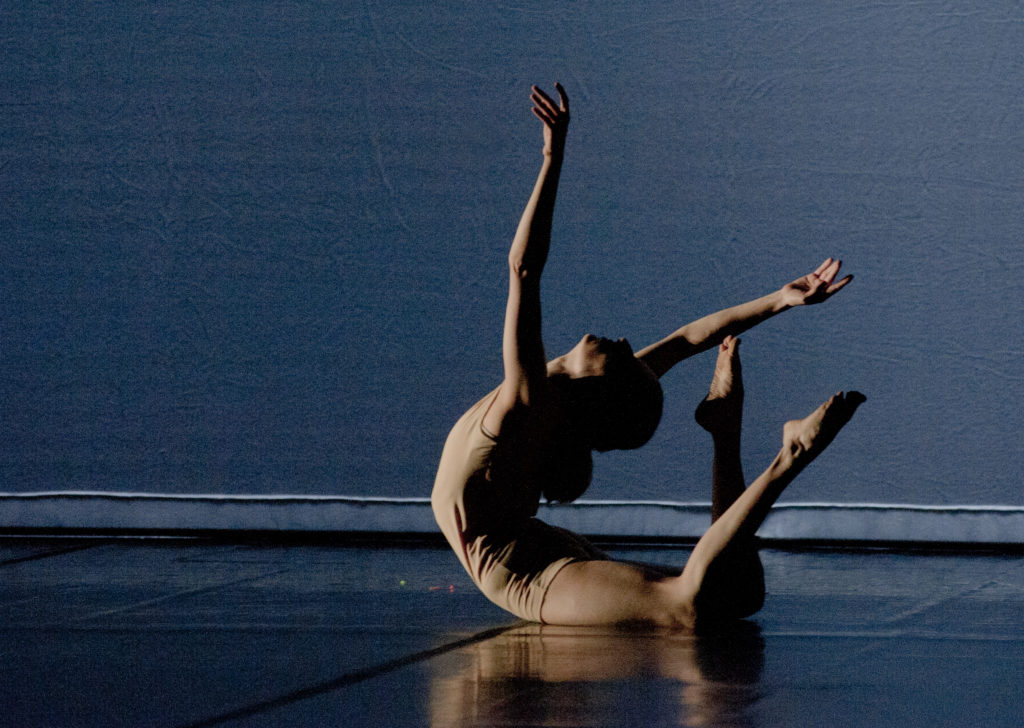 Pinocchio OpusBallet