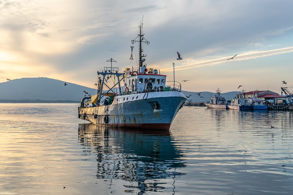 Cura Italia: Toscana propone cambiamenti su pesca e agricoltura