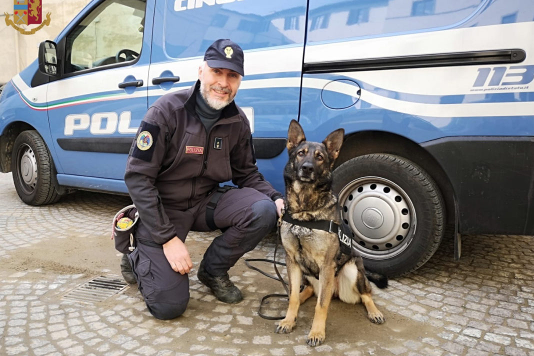 Il cane poliziotto Mia con il suo istruttore