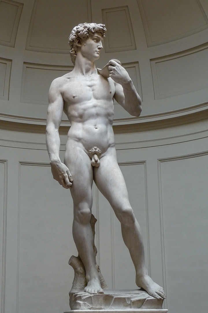 Davide di Michelangelo posto in piazza della Signoria