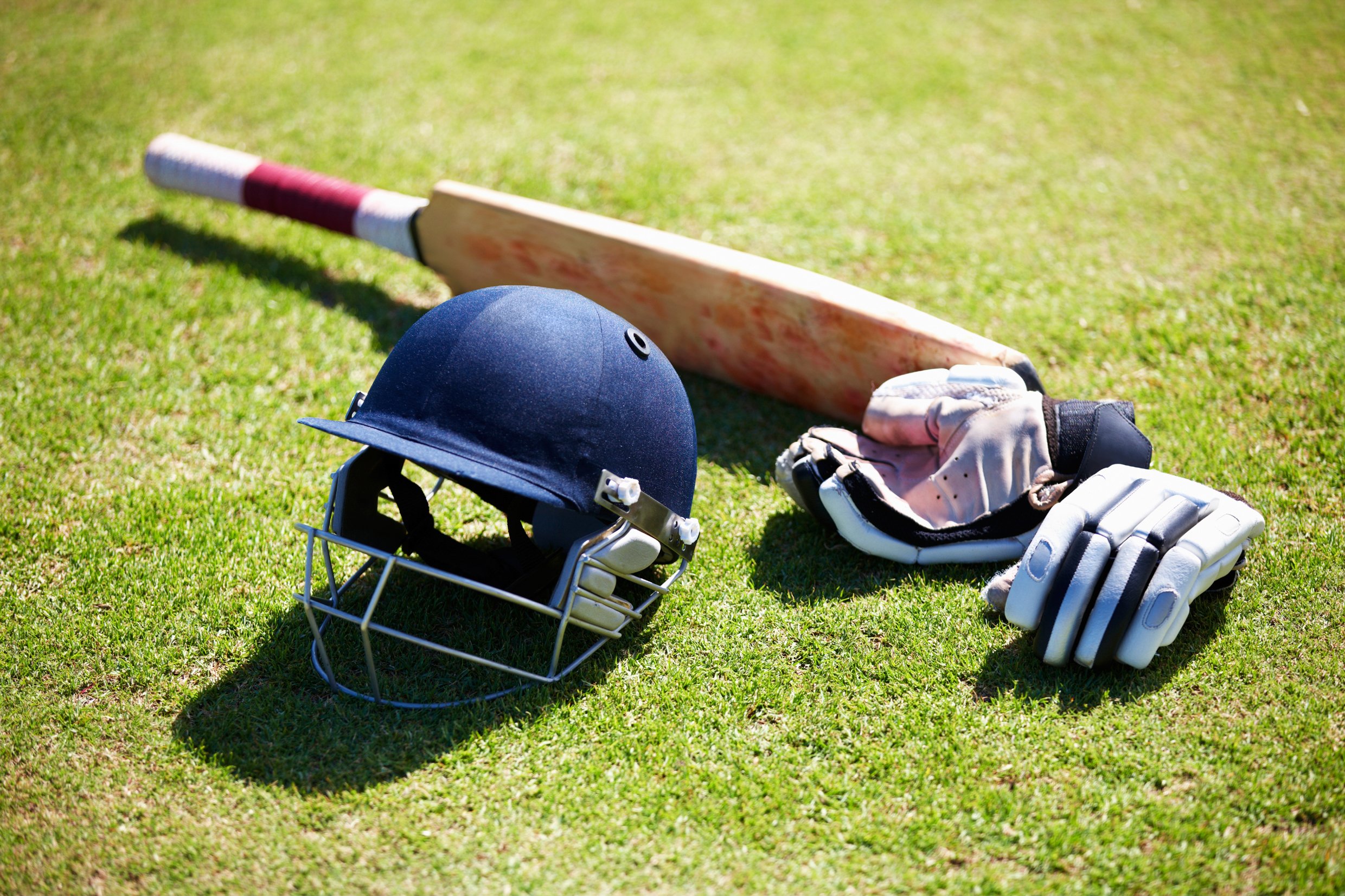 Attrezzatura da cricket su un prato