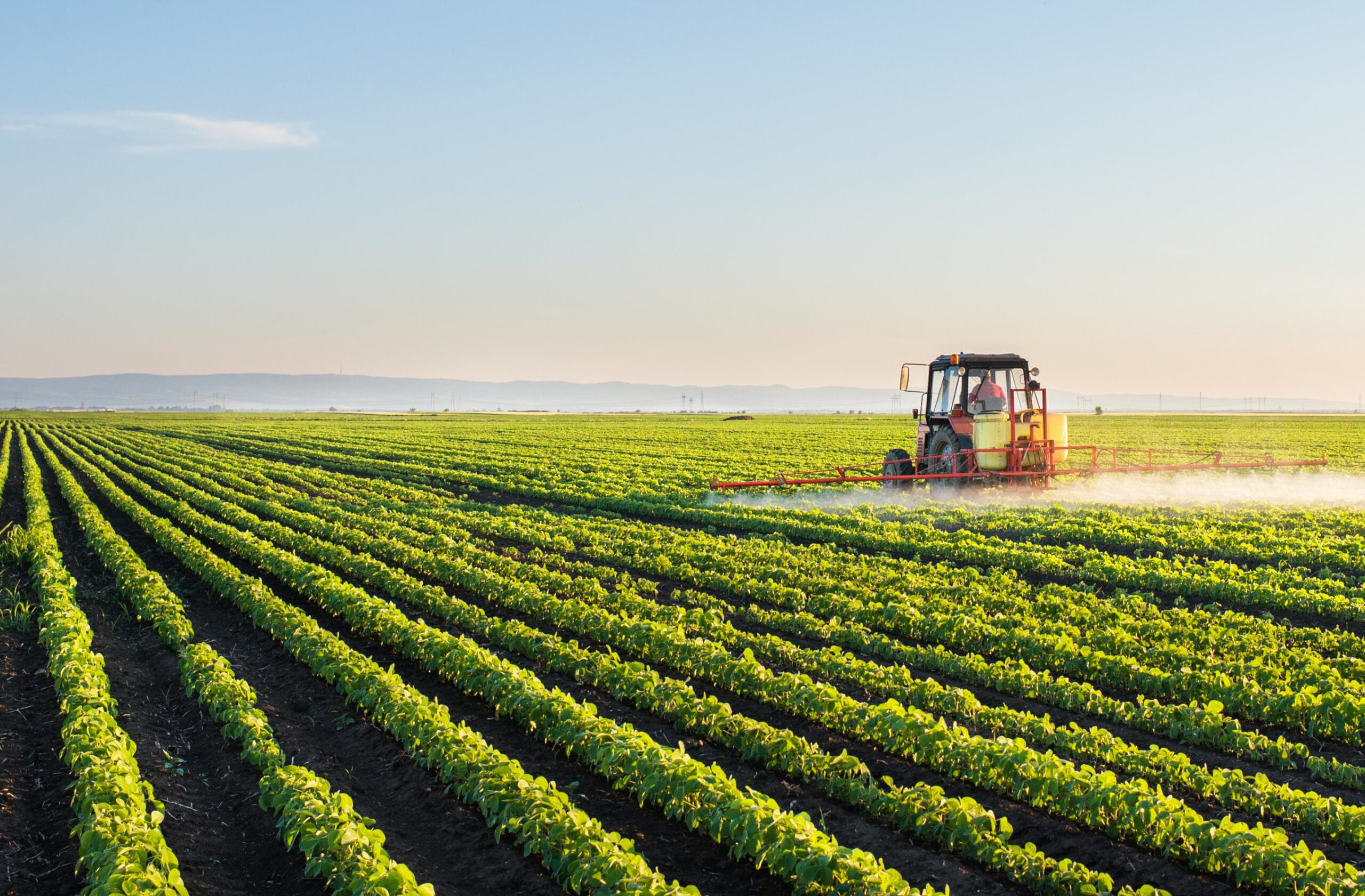 Gelate in agricoltura, le cooperative plaudono alla regione ma i sostegni sono insufficienti