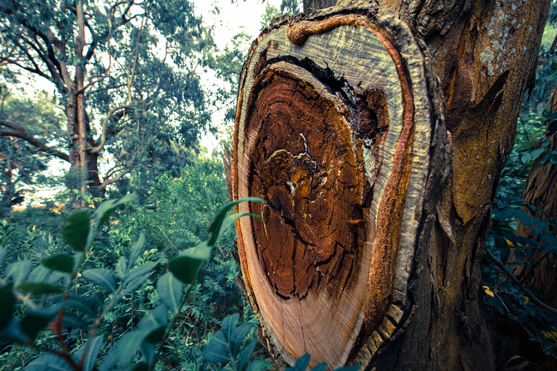 Orto botanico corsini all'Argentario - Porto Ercole - mare e natura