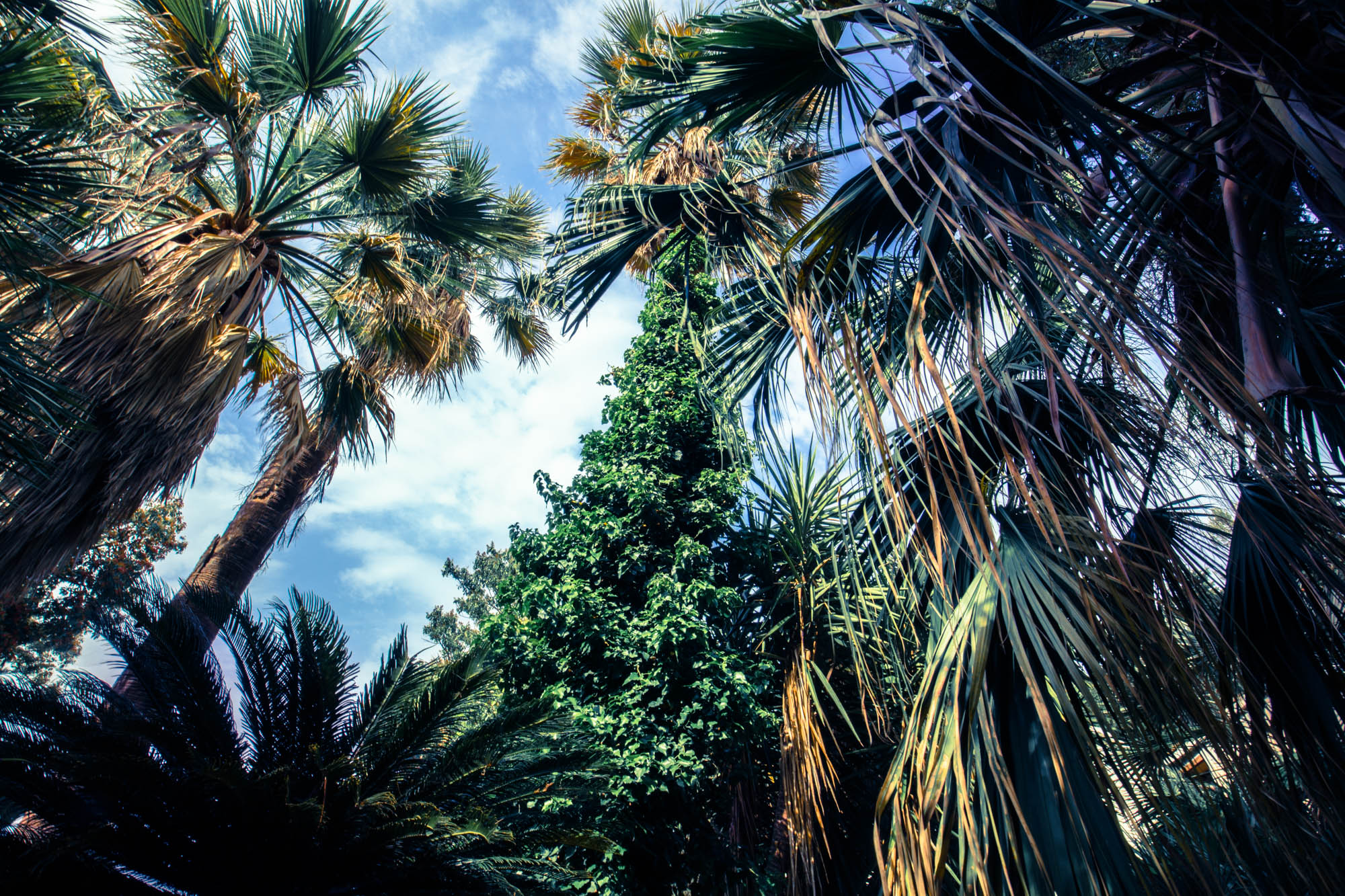 Orto botanico corsini all'Argentario - Porto Ercole - mare e natura