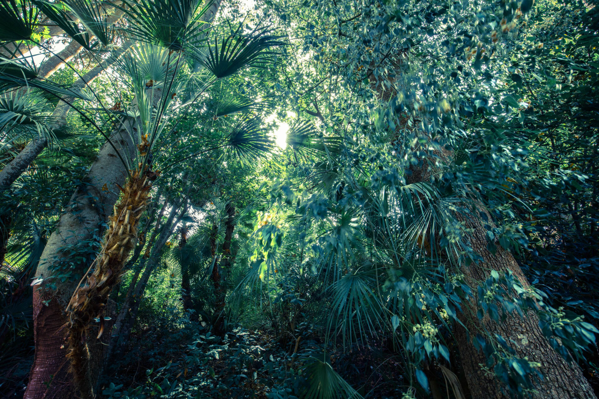 Orto botanico corsini all'Argentario - Porto Ercole - mare e natura