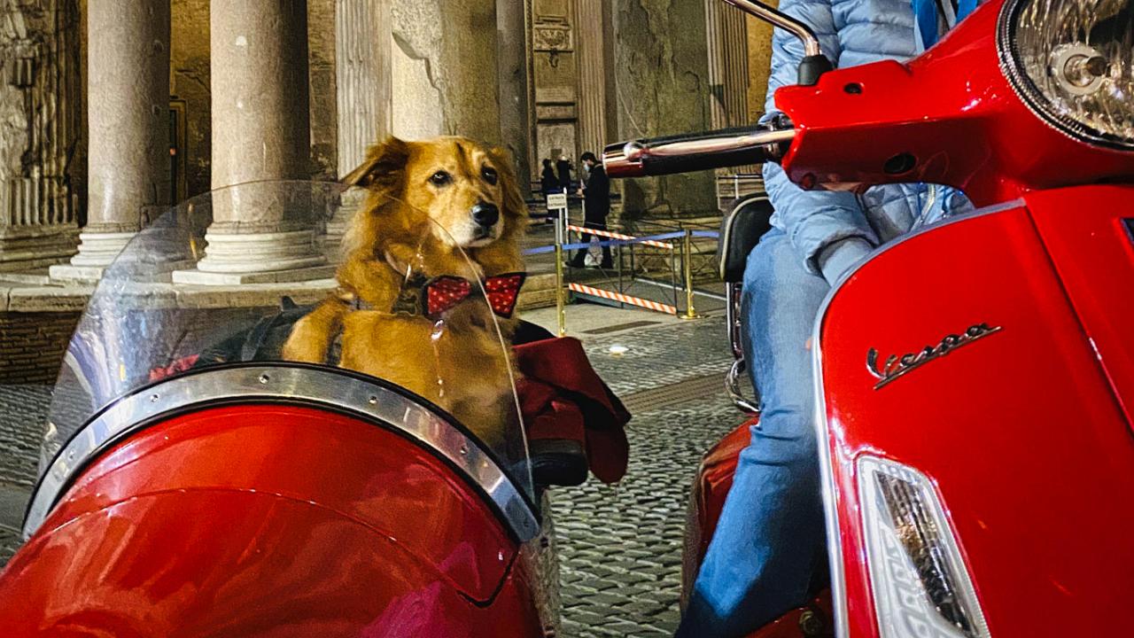 Col cane in vespa a Roma