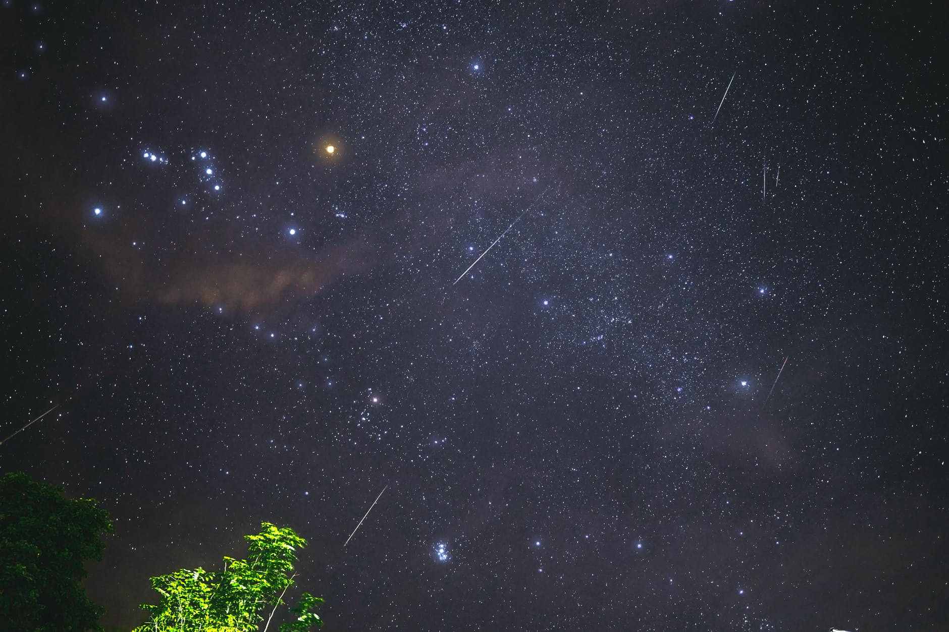 Notti di agosto a caccia di stelle cadenti