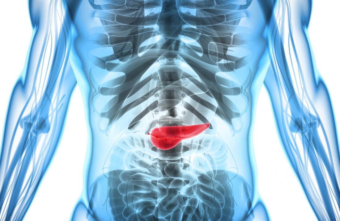 foto copertina il pancreas