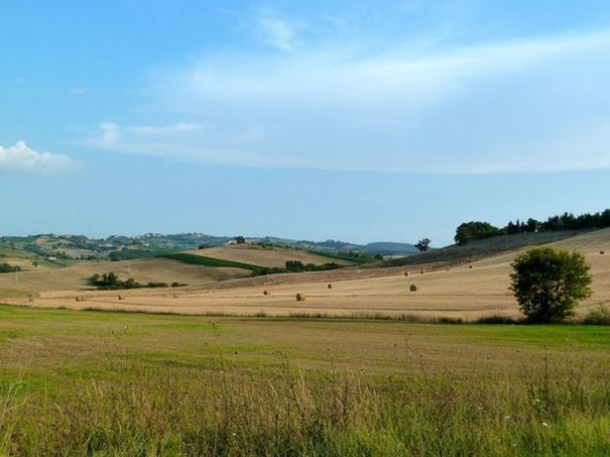 Tutela del Paesaggio e qualità del territorio toscano: evento con Legambiente Toscana, CGIL Toscana, M5S, SCE