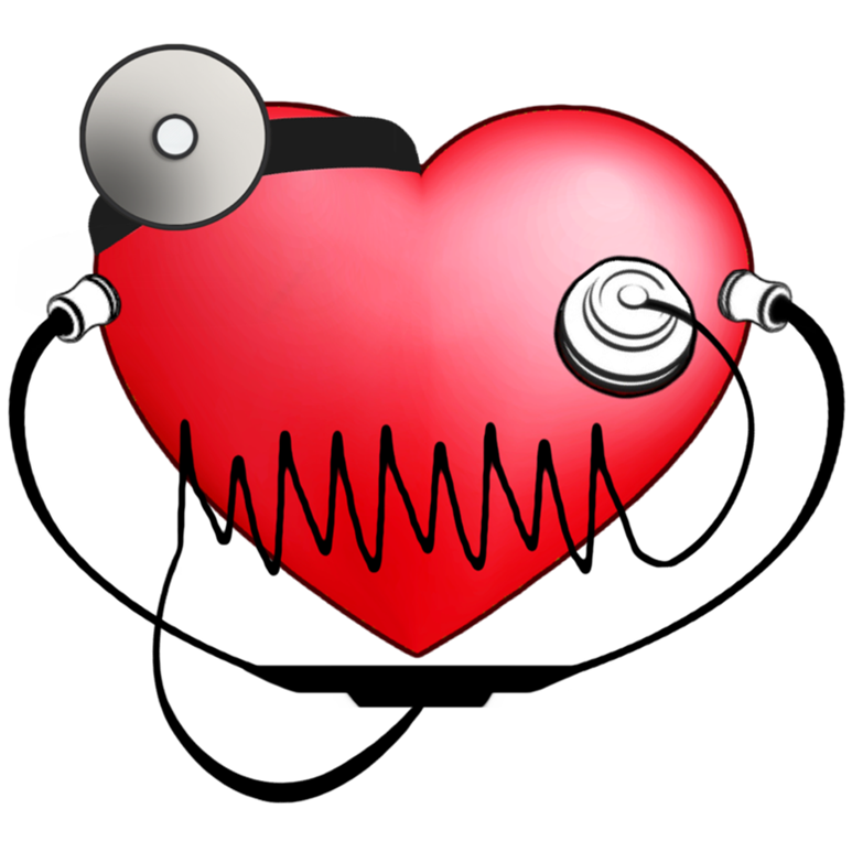 Scoperto meccanismo di defibrillazione intrinseco del cuore