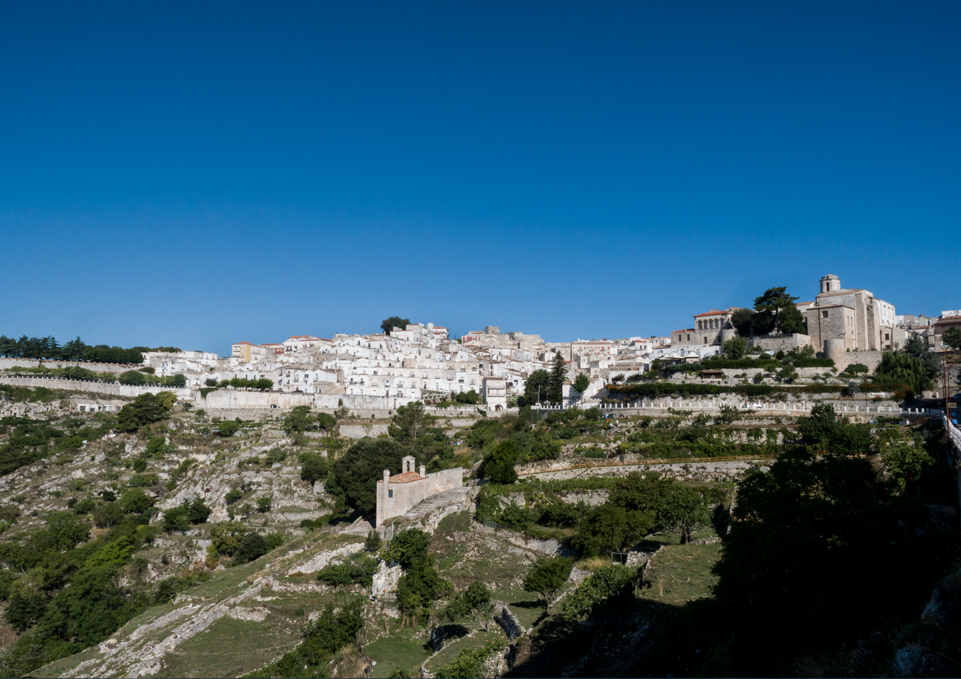 monte