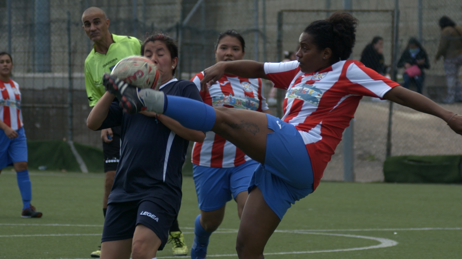 las leonas