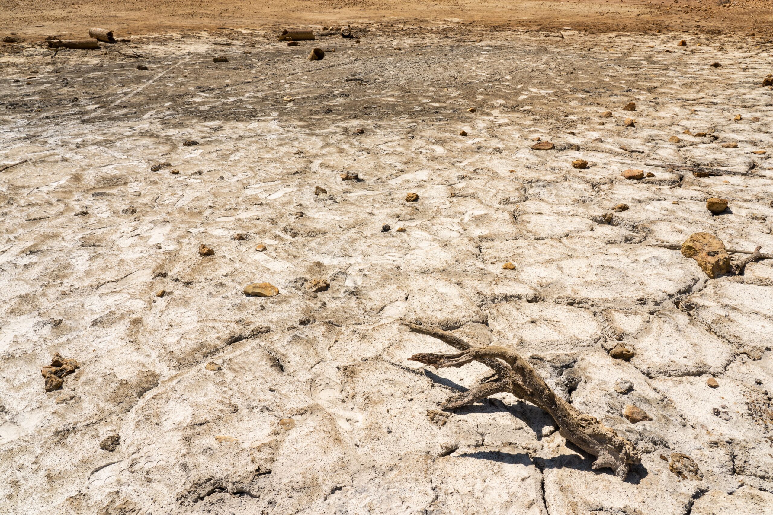 SICCITÀ,ECCO I NUOVI DESERTI IN TOSCANA.UNA GUIDA TURISTICA RACCONTA GLI EFFETTI DELLA DESERTIFICAZIONE