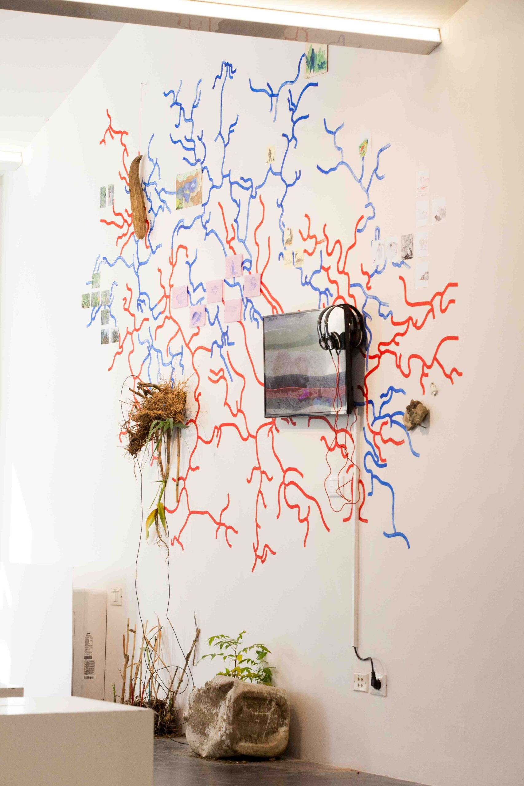 mostra ied eco esistenze
