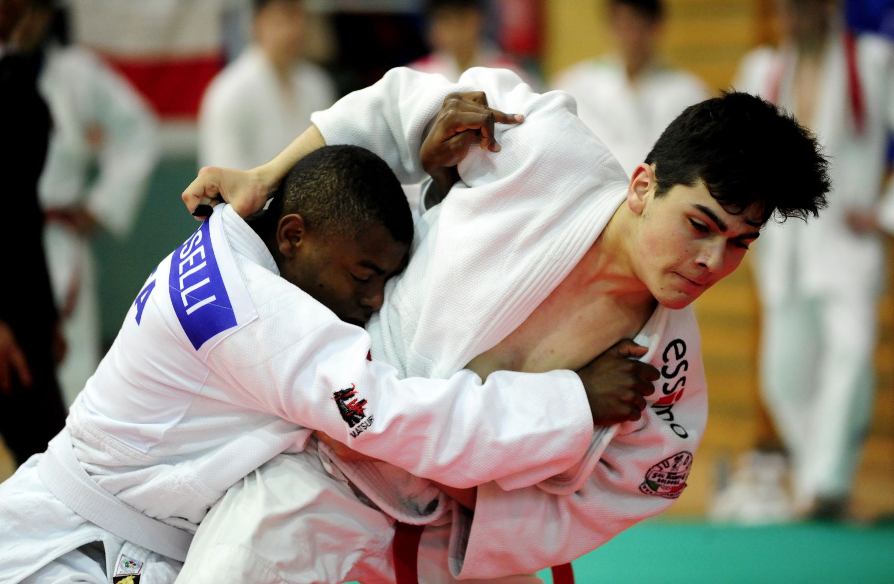 judo44