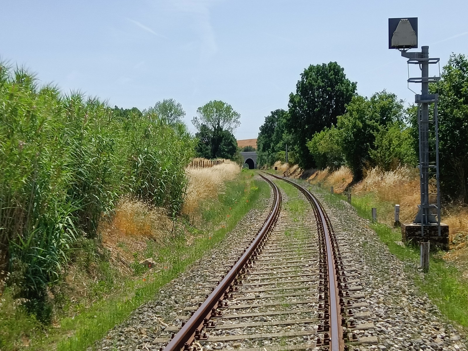 tratto asciano monte antico vicino serre di rapolano (3)