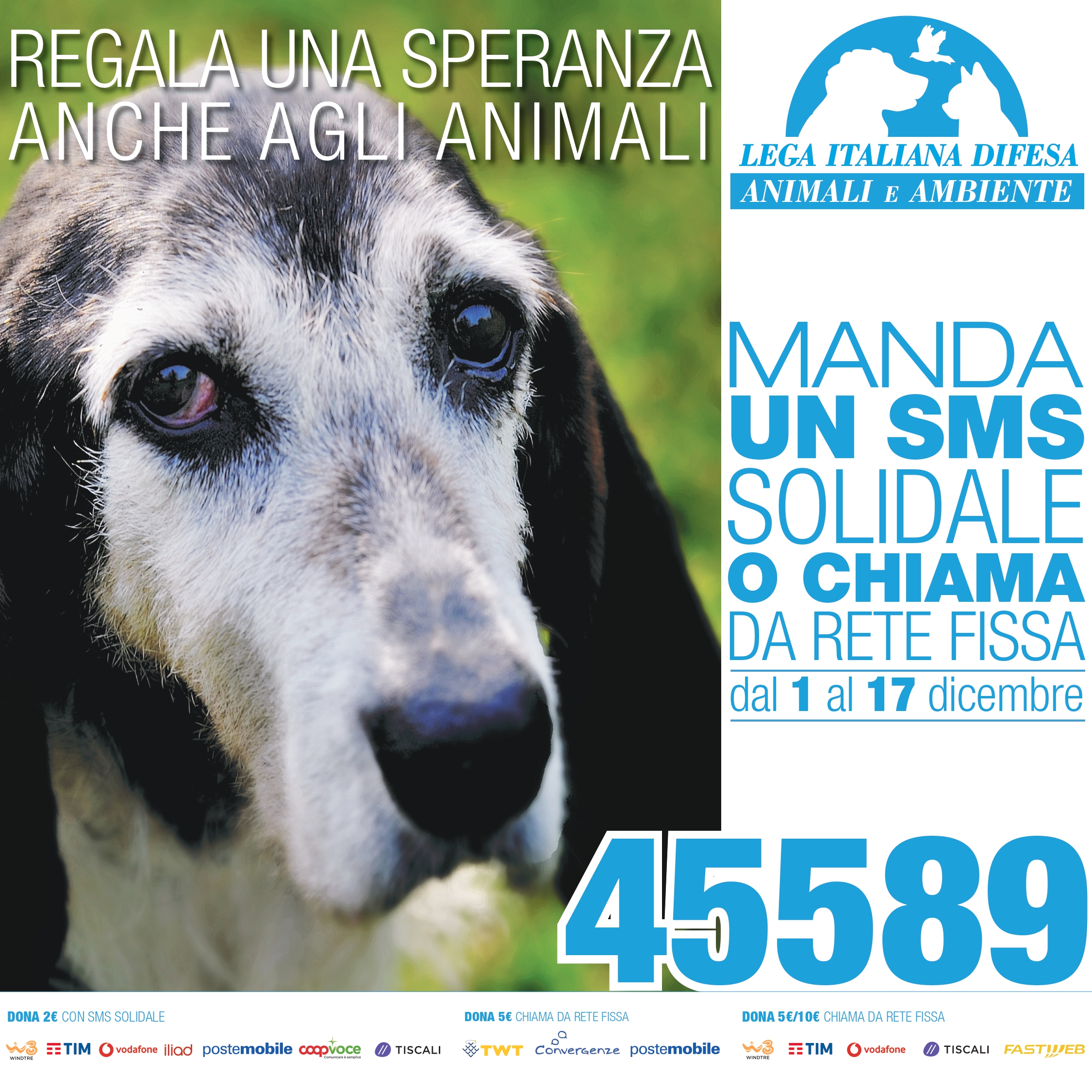 “REGALA UNA SPERANZA ANCHE AGLI ANIMALI”: DA OGGI AL 17 DICEMBRE BASTA UN SMS SOLIDALE AL 45589 PER SOSTENERE L’INIZIATIVA DI LEIDAA