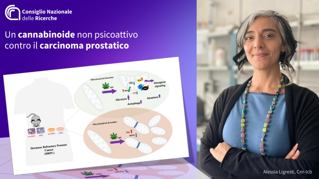 alessia ligresti cnricb