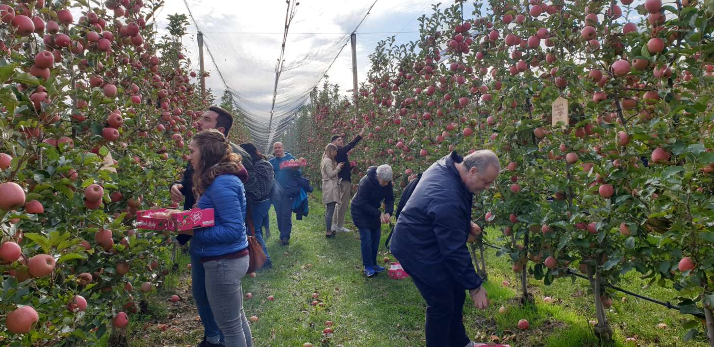 <strong>MIGRANTI: COLDIRETTI, SERVONO 40MILA LAVORATORI SALVA FRUTTA<br>1 MELA SU 4 IN ITALIA E’ RACCOLTA GRAZIE AGLI STRANIERI</strong>