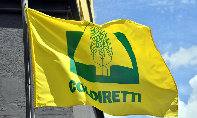 <strong>BOLLETTE: COLDIRETTI, CALO GAS PRIMO SEGNALE PER FAMIGLIE E IMPRESE</strong>