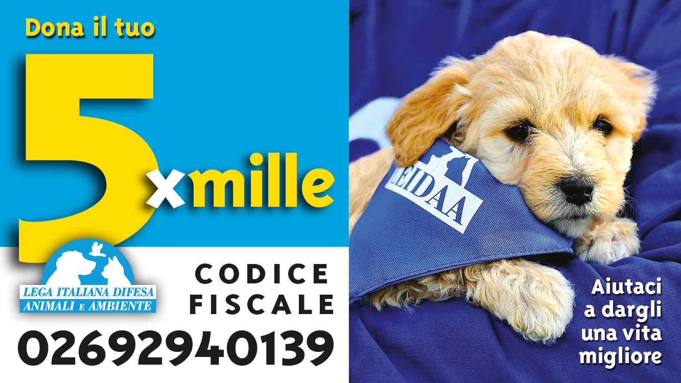 20230510 5permille banner fb 640x360px 1