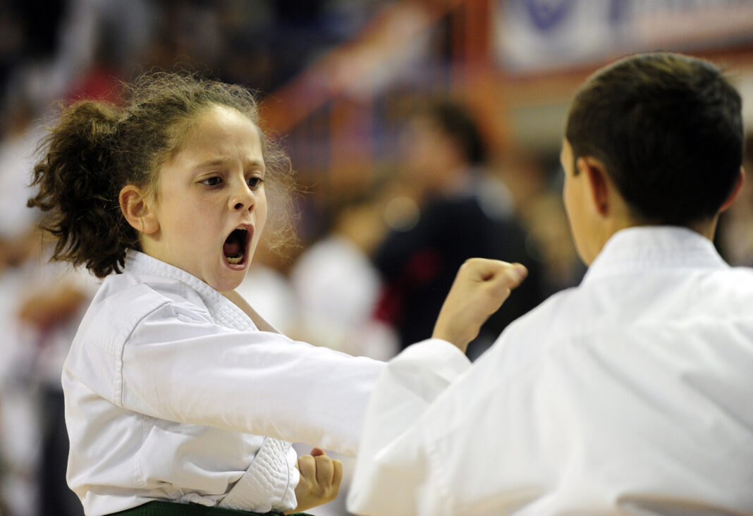 karate031