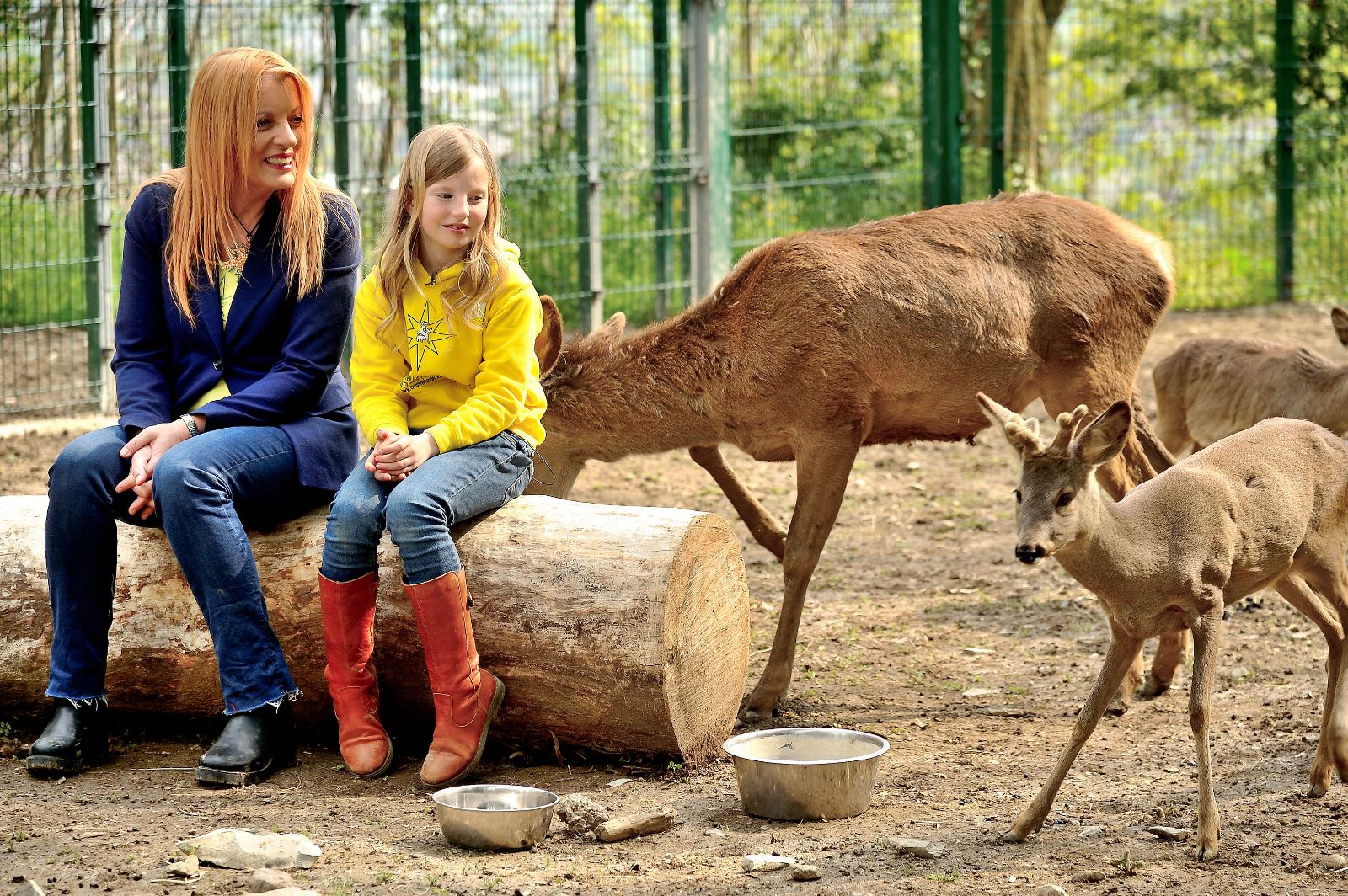 TV, A “DALLA PARTE DEGLI ANIMALI”, CON L’ON. MICHELA VITTORIA BRAMBILLA E CON LA PICCOLA STELLA, LE MOLTISSIME OPERAZIONI DI SALVATAGGIO DELLA LEIDAA IN EMILIA-ROMAGNA, LE STAR DEL CRAS STELLA DEL NORD E IL CAGNOLINO DI GIGI D’ALESSIO