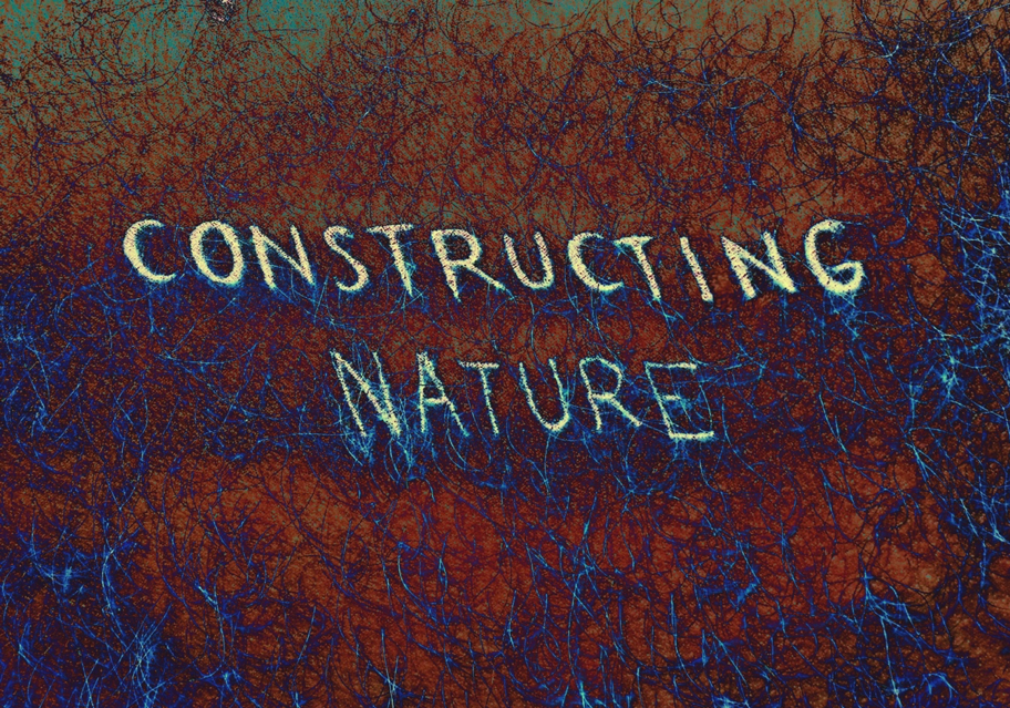 <strong><em>Constructing Nature</em></strong>