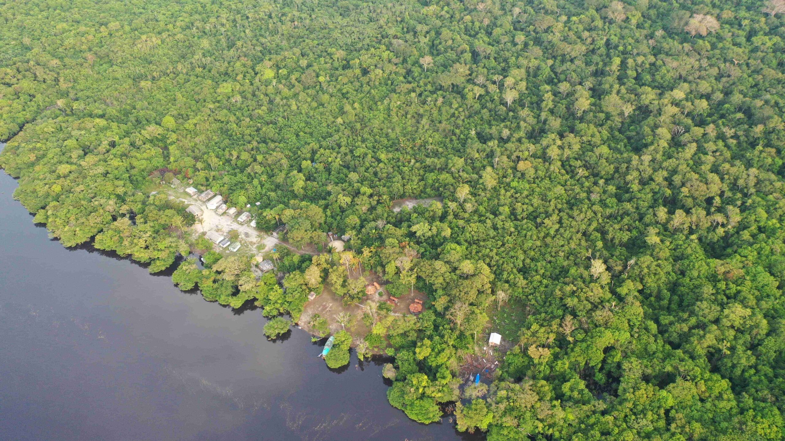 <strong>Suzano e Sofidel uniscono le forze per un progetto pilota di protezione della biodiversità e sostegno alle comunità locali nella regione amazzonica</strong>