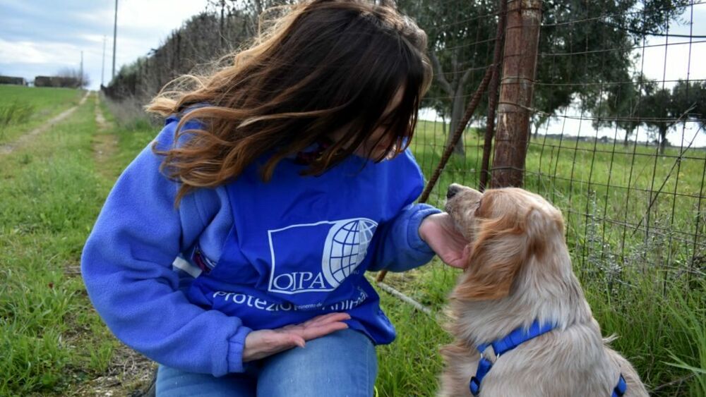 volontaria oipa con cane 2