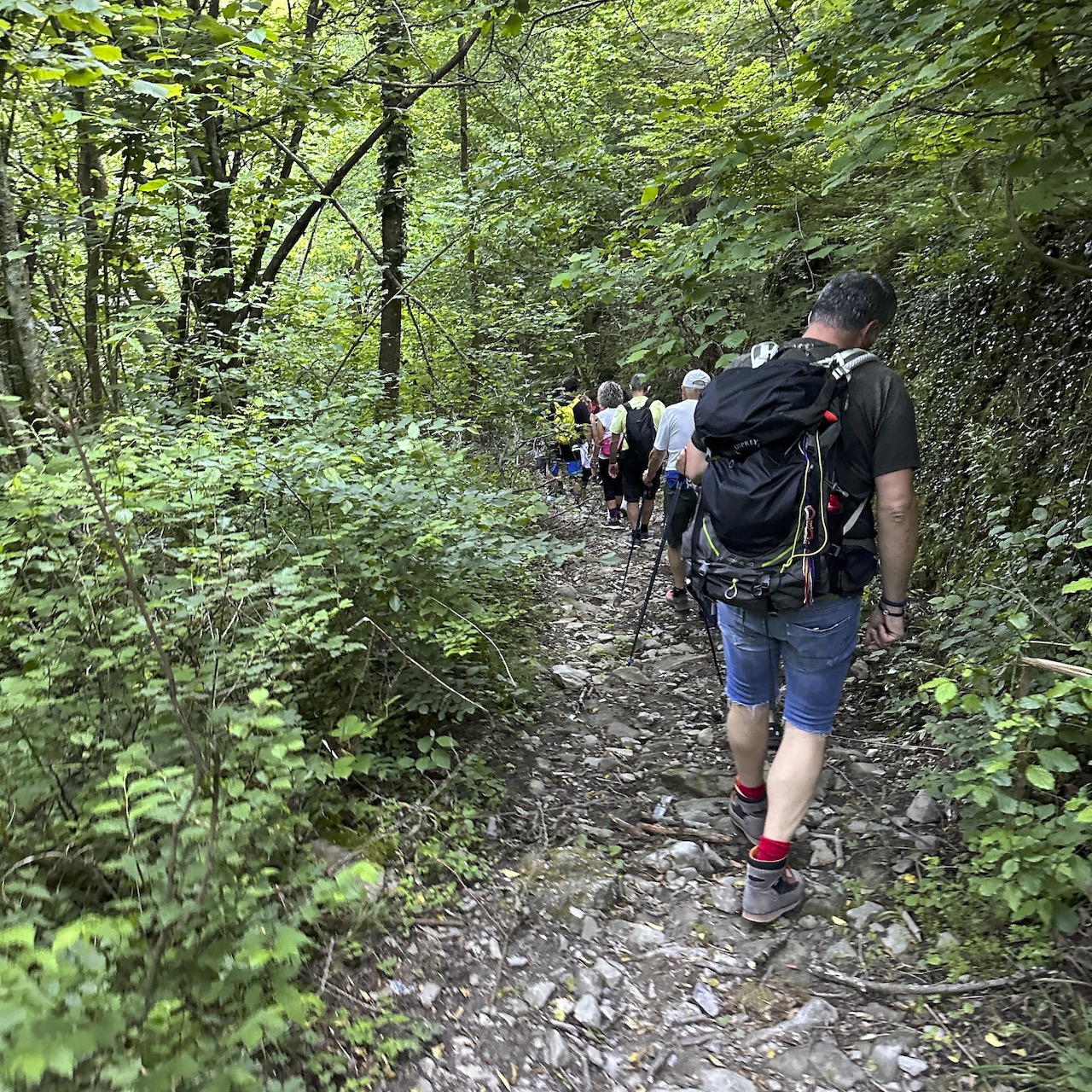 Cantagallo. Giornate Blu 2023, emozioni tra sorgenti e castagneti