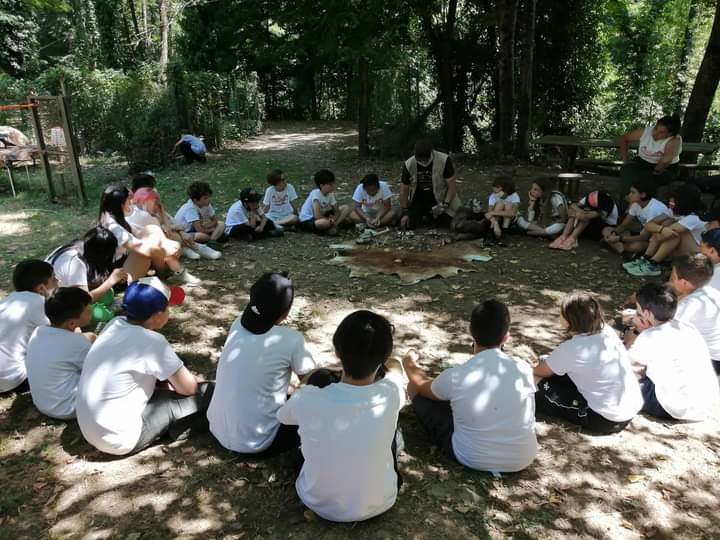 <strong>Settimane outdoor, collegiali sportivi e corsi di nuovo intensivi</strong>