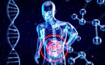 Sanità: inserire l’insufficienza intestinale cronica benigna tra le malattie rare